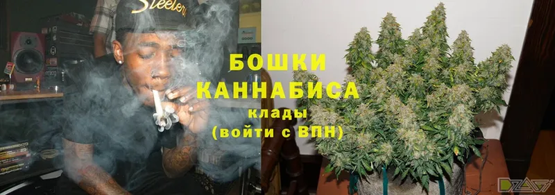 Бошки Шишки OG Kush  сколько стоит  Тара 